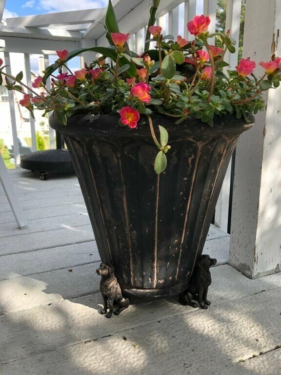 Kalsten | Patas de Maceta para Plantas
