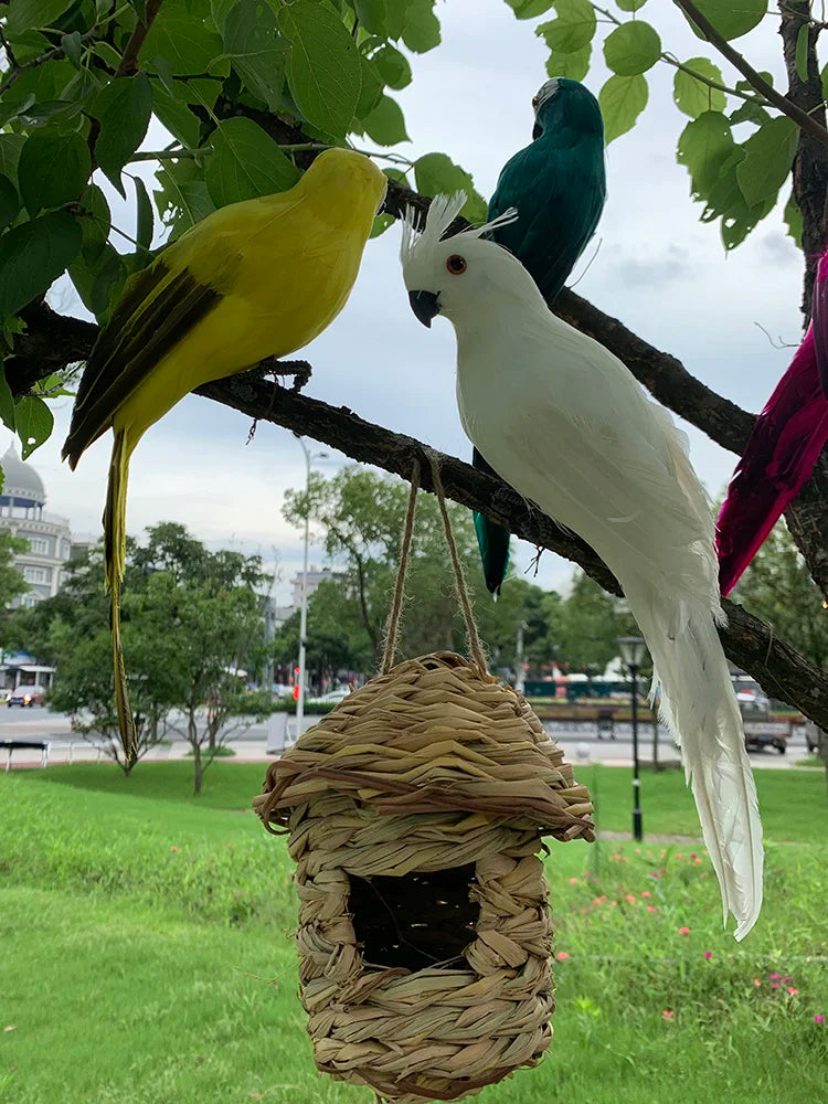 Decoración de Jardín de Loro - Trópico