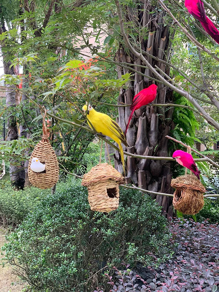 Decoración de Jardín de Loro - Trópico