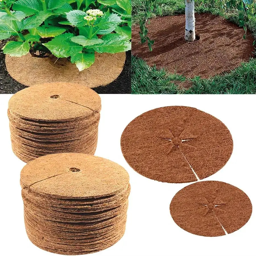 Inserto para macetas de fibra de coco redondo 3 piezas