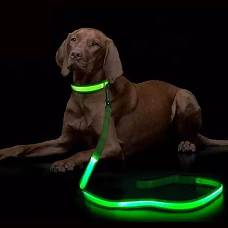 LumaPaw – Correa de perro LED recargable por USB con tira reflectante
