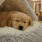 Cama Cocoon para Perro