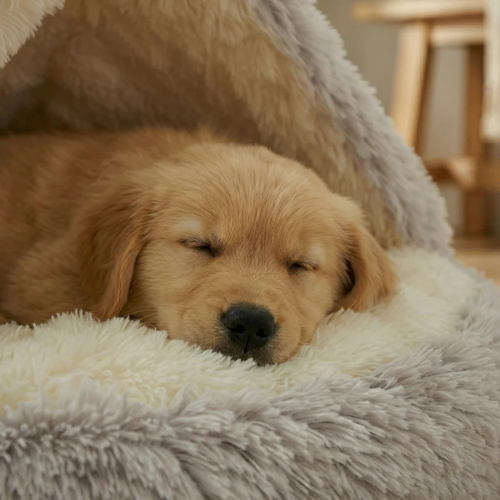 Cama Cocoon para Perro
