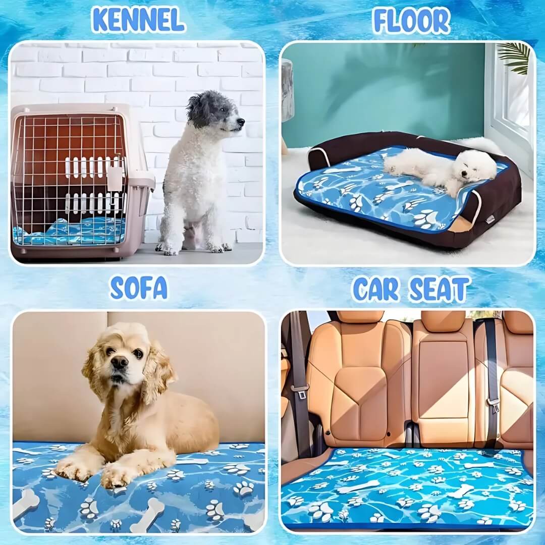 ChillPaws • Alfombra Refrigerante para Perros