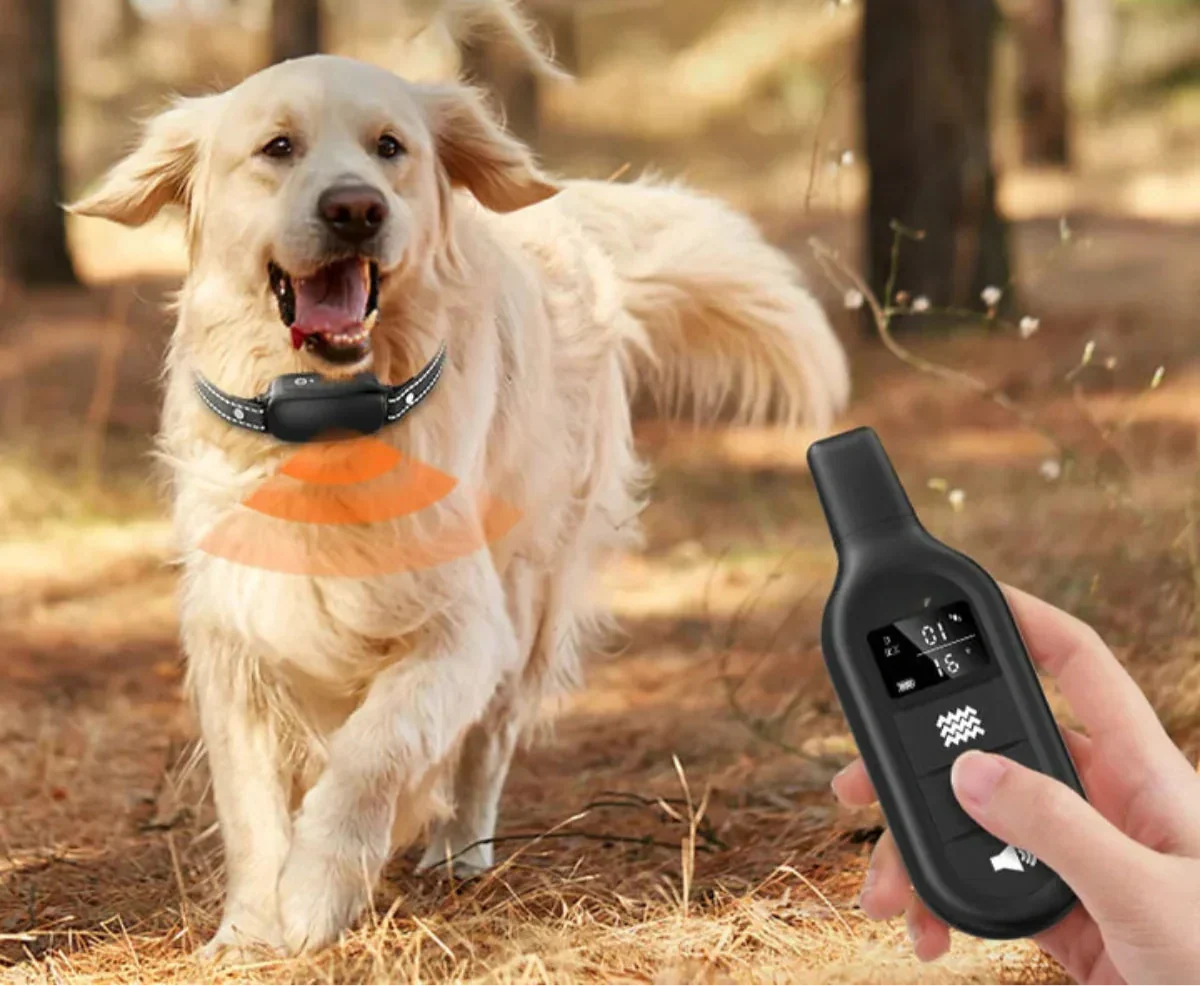 Collar de adiestramiento para perros controlado a distancia – Collar e-collar impermeable con 16 niveles de choque, vibración y alcance de 1000 m