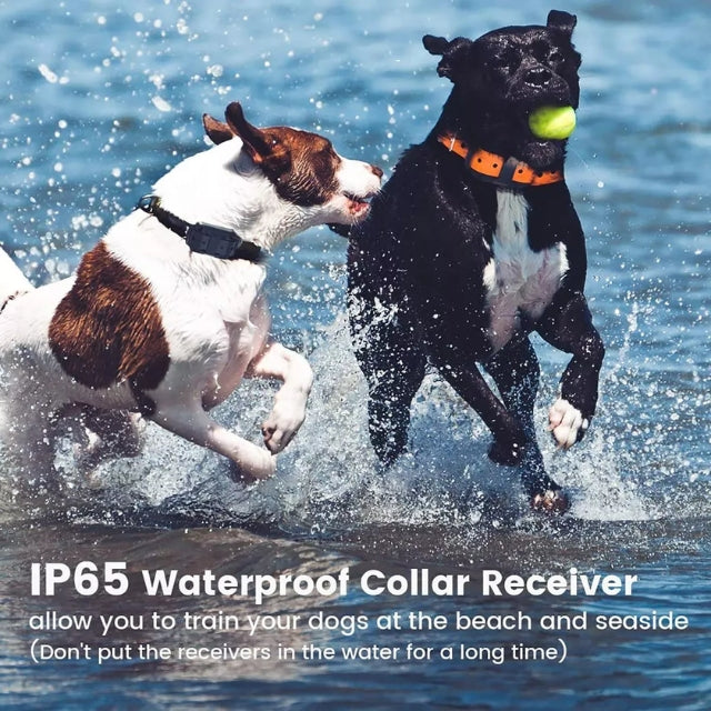 Collar E-eléctrico para Entrenamiento de Perros – Seguro, control remoto efectivo