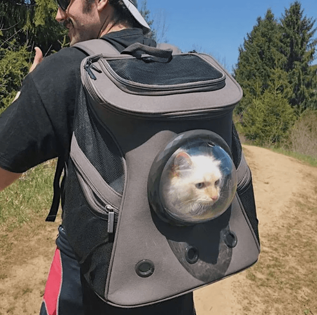 Transportador para mascotas