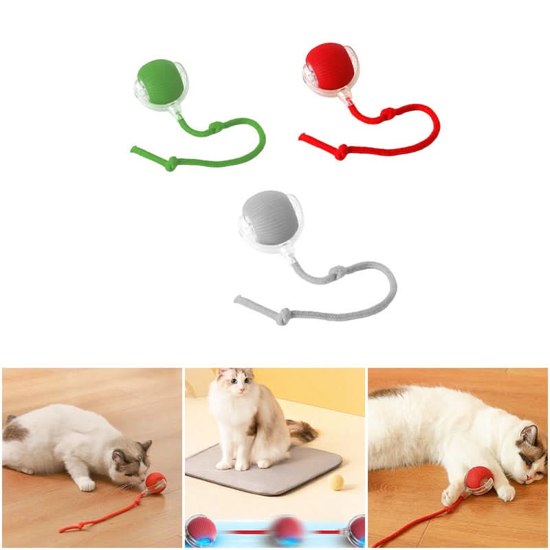 Juguete rebotante para gatos activos y curiosos