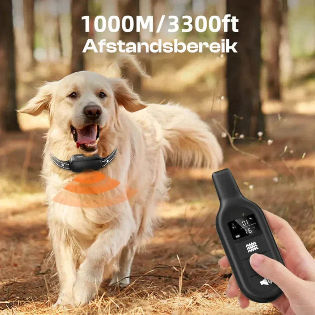 Collar de adiestramiento eléctrico para perros con control remoto