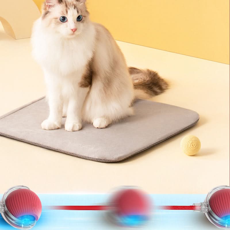 Juguete rebotante para gatos activos y curiosos