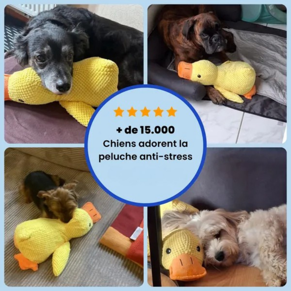 Juguete de peluche Pato para Perros