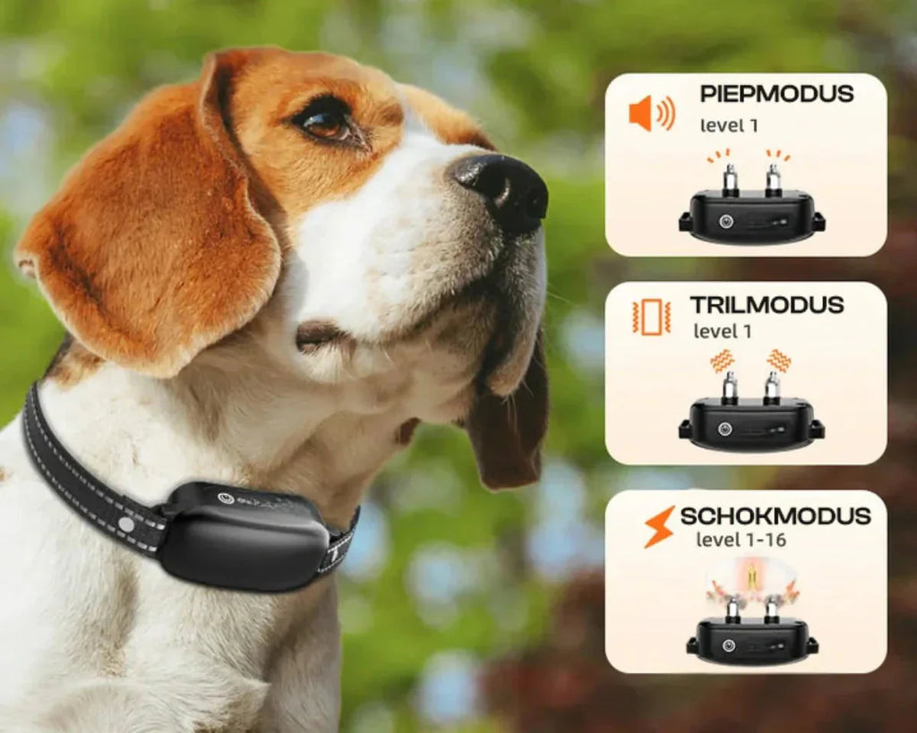 Collar de adiestramiento para perros controlado a distancia – Collar e-collar impermeable con 16 niveles de choque, vibración y alcance de 1000 m