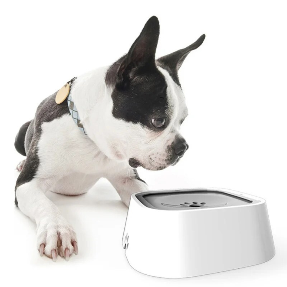 Cuenco de Agua para Perros de Gran Capacidad y Antidesbordamiento