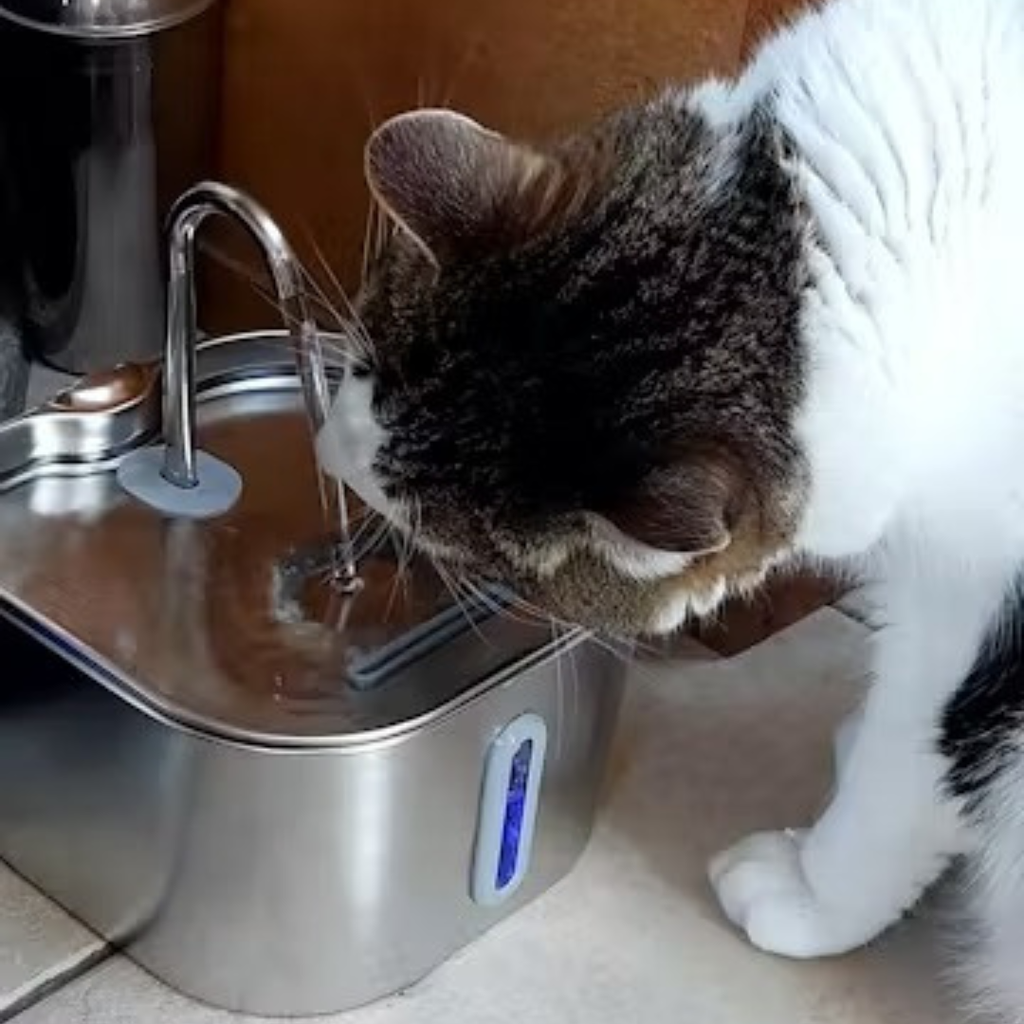 Fuente Premium Inalámbrica para Gatos