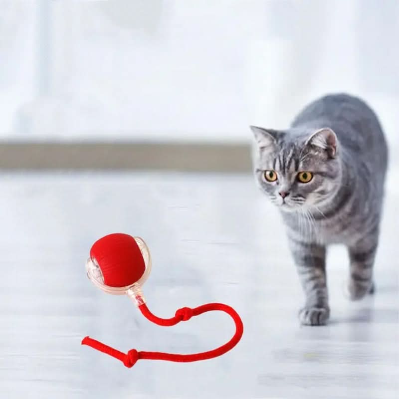 Juguete rebotante para gatos activos y curiosos