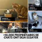 Fuente de agua para gatos de acero inoxidable