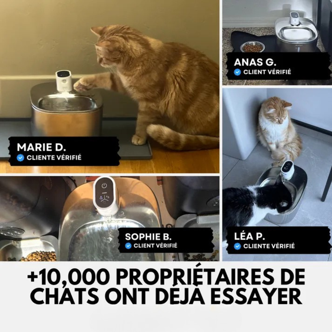 Fuente de agua para gatos de acero inoxidable