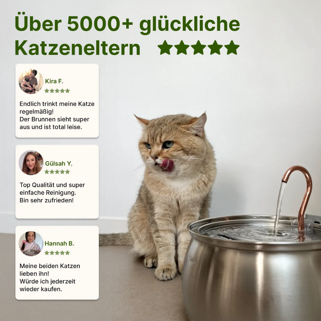 Fuente para gatos de acero inoxidable