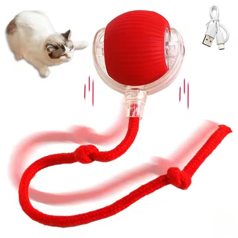 Juguete rebotante para gatos activos y curiosos