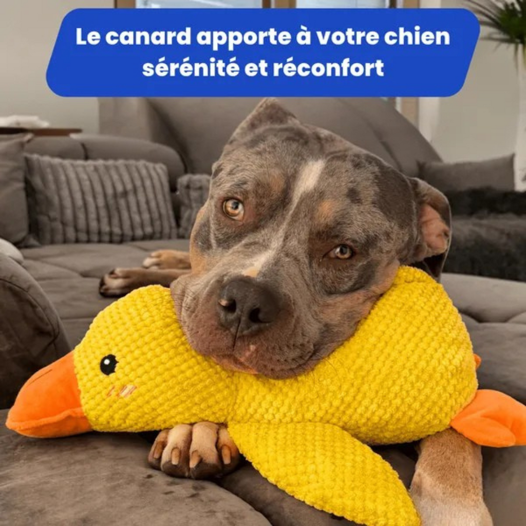 Juguete de peluche Pato para Perros