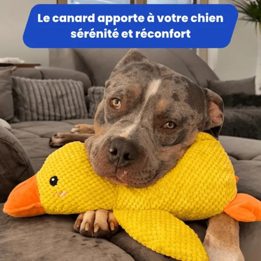 Juguete de peluche Pato para Perros