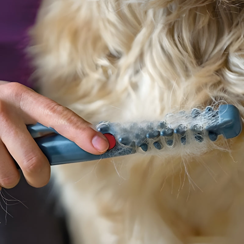 PetGroom – Cepillo de Cuidado Eléctrico para Perros y Gatos con Dientes de Acero Inoxidable
