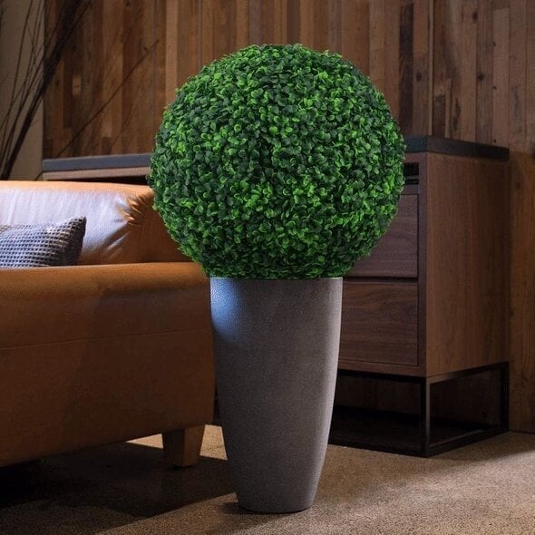 Treesphere – ¡La decoración perfecta y de bajo mantenimiento para cualquier habitación! | 1+1 GRATIS