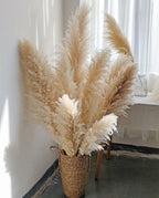 Grande hierba de pampas esponjosa