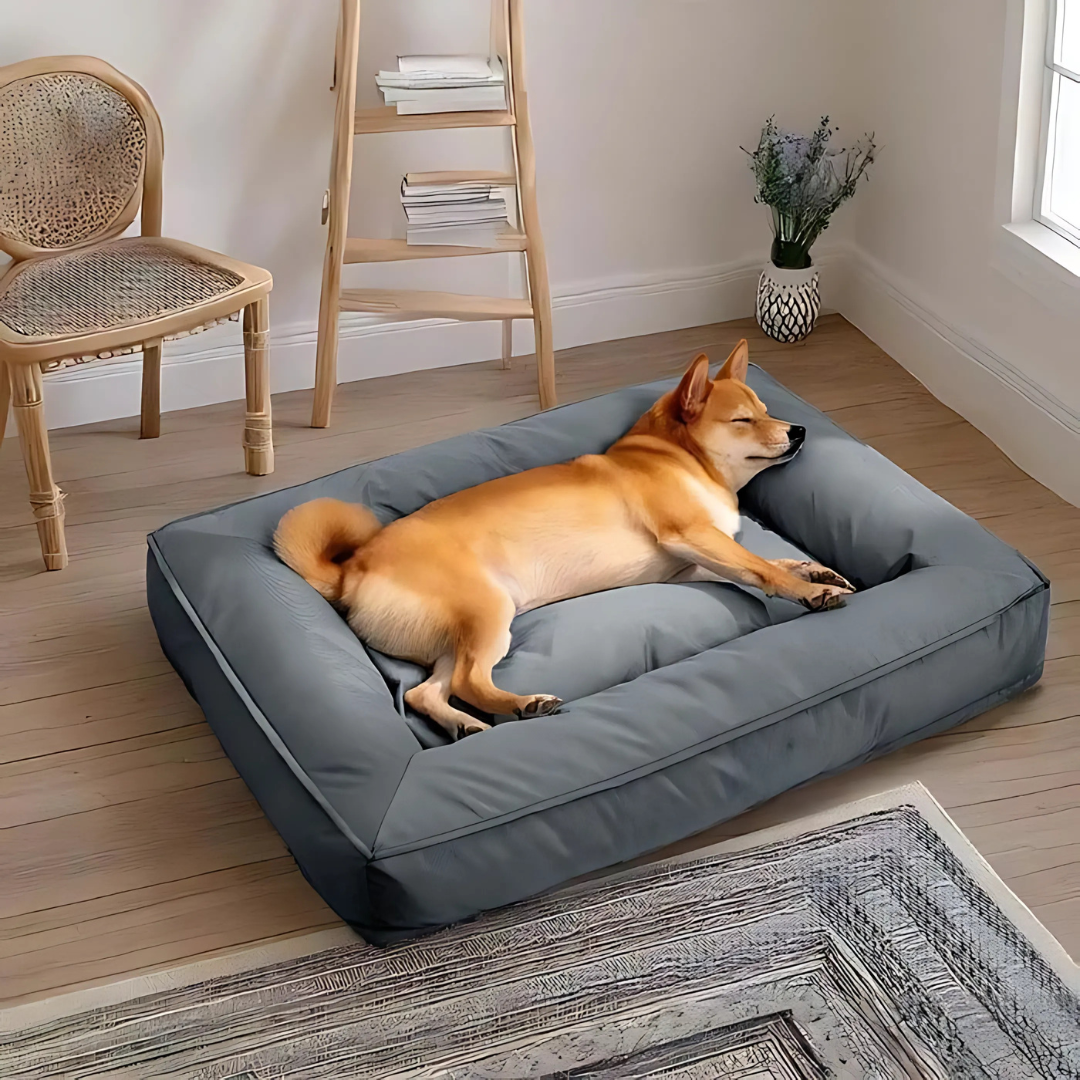 Cama ortopédica para perro