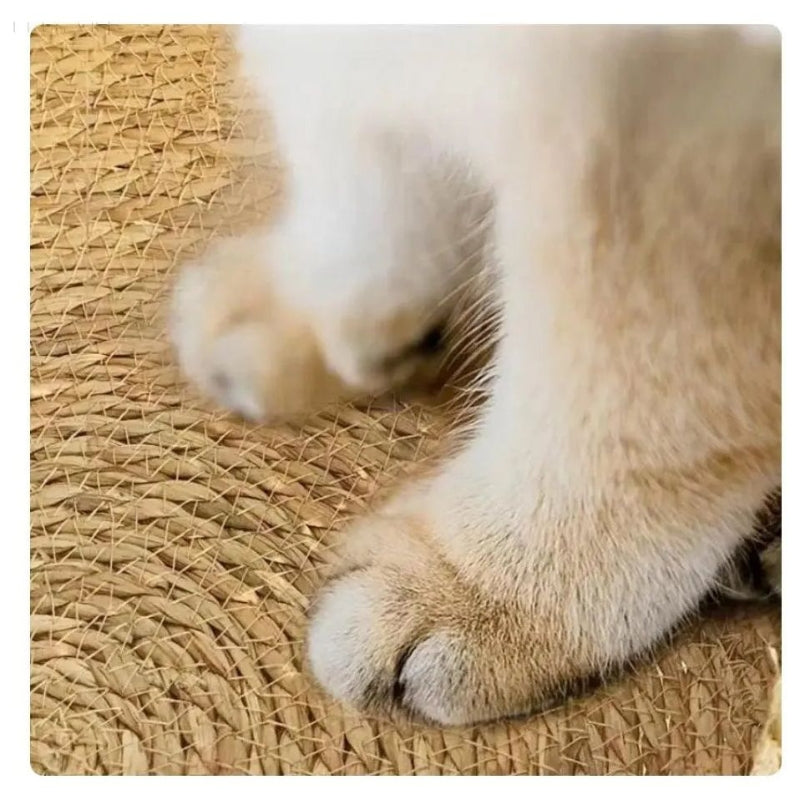 PurrNest – Cesta para Gatos Tejida a Mano con Cojín de Felpa