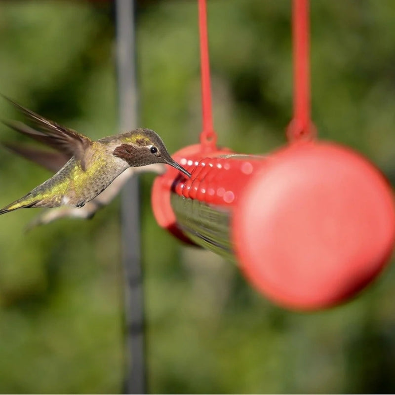 NatureSip – Alimentador colgante para colibríes con abrazadera