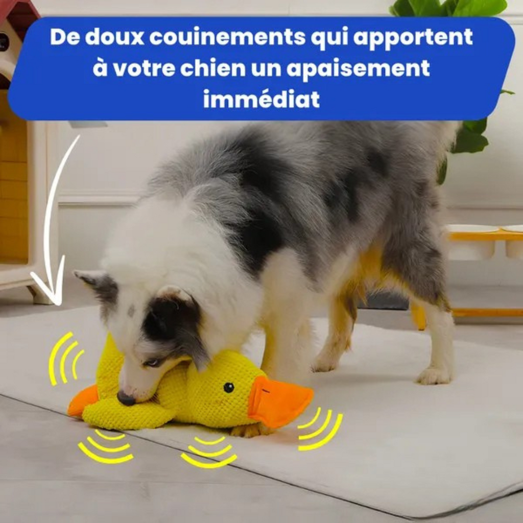 Juguete de peluche Pato para Perros