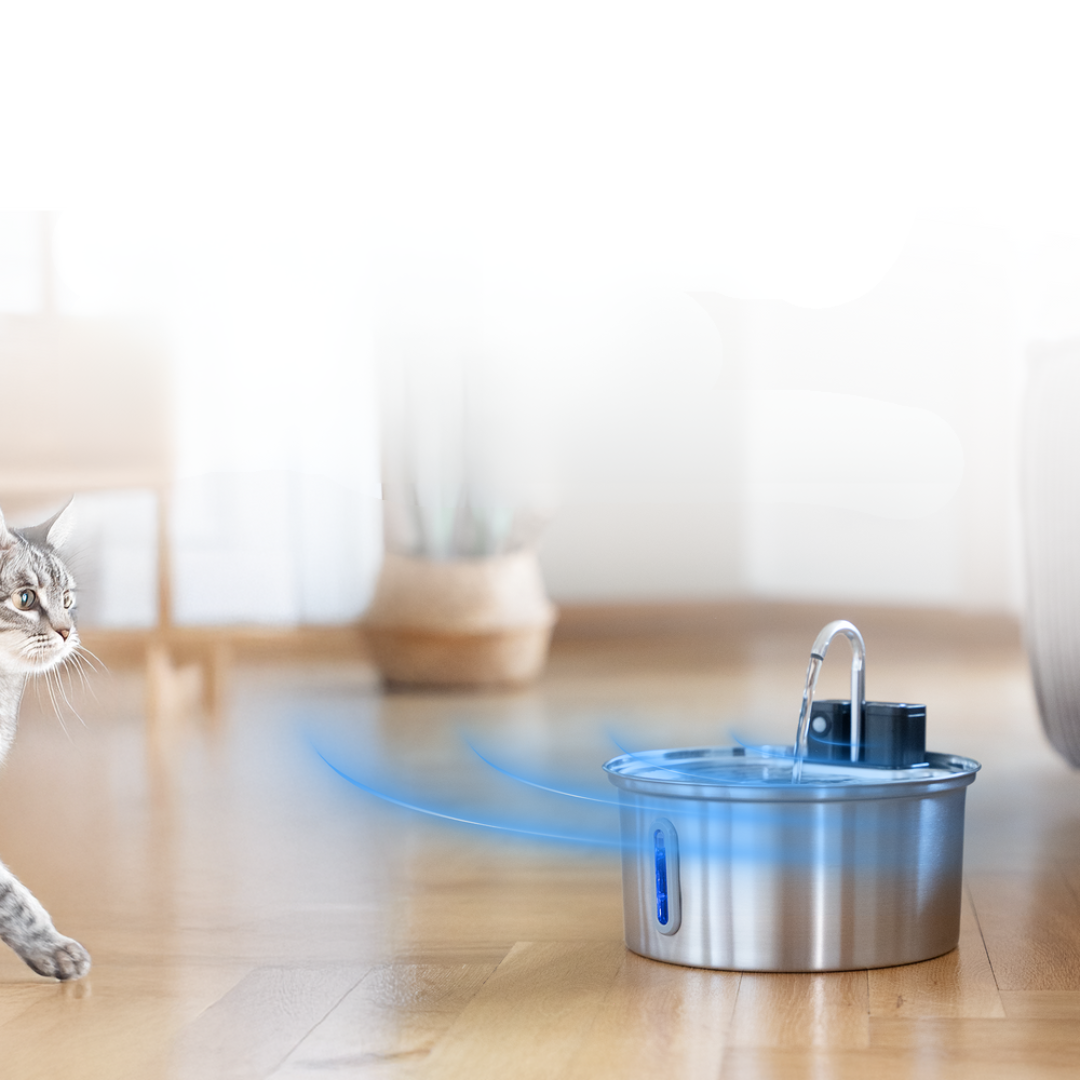 Fuente Premium Inalámbrica para Gatos