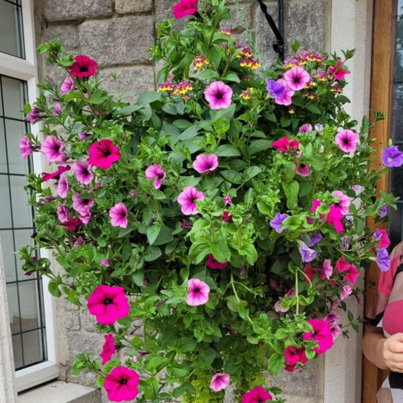 BloomHaven – Conjunto de Flores de Caléndula Artificiales con Cuerda para Colgar