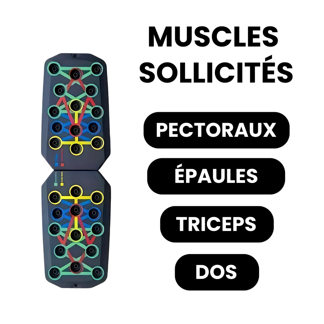 Tabla de musculación con enfoque muscular por color