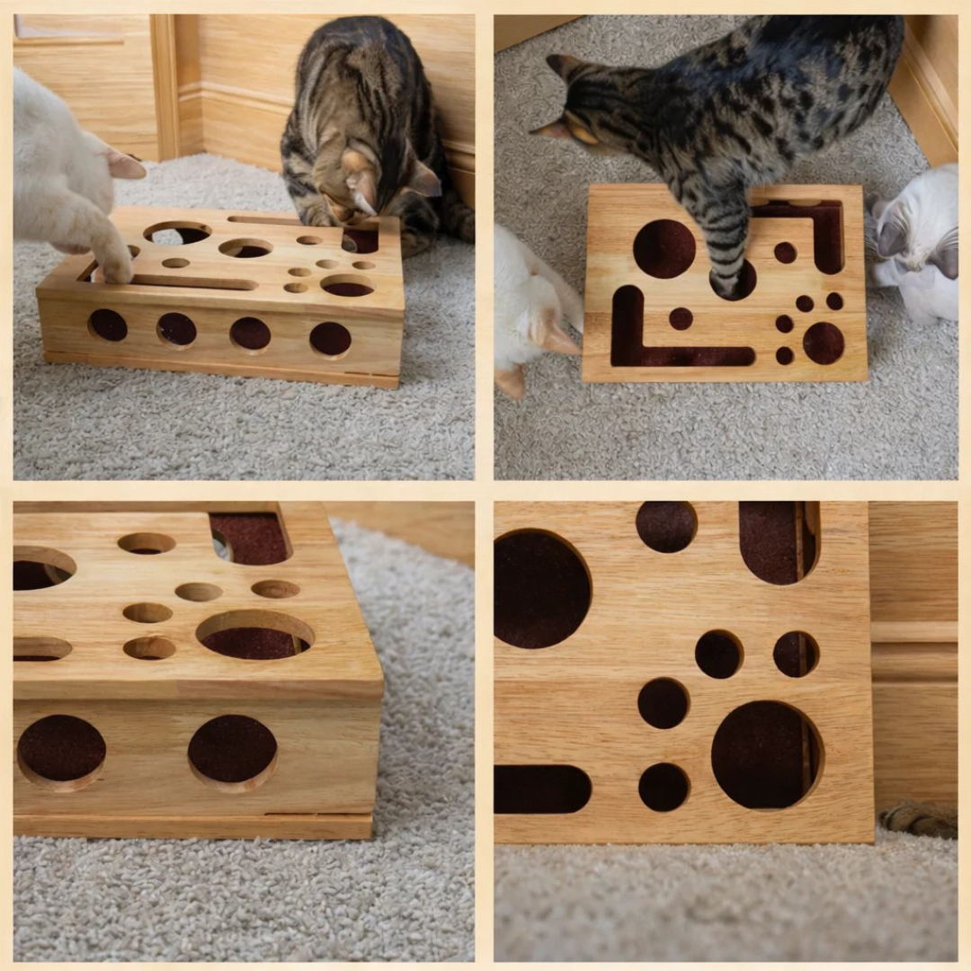 Tableta interactiva para gatos
