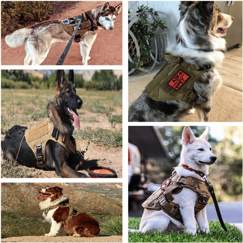 Arnés de entrenamiento para perros grandes - Máxima control
