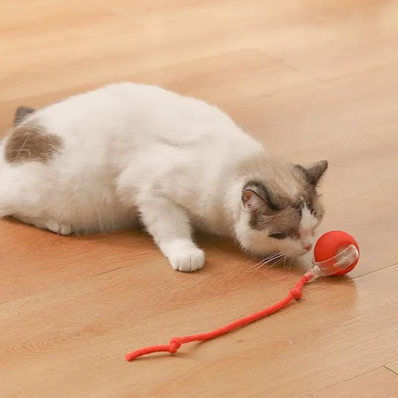 Juguete rebotante para gatos activos y curiosos