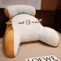 SilkSupport Pillow™ ¡Sin más dolores de espalda!