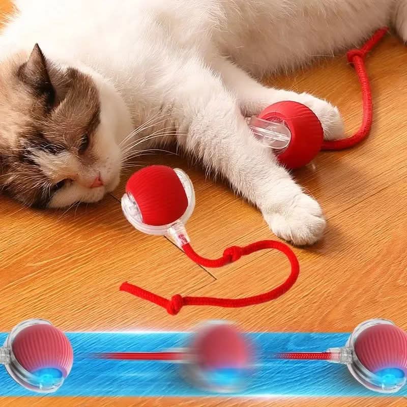 Juguete rebotante para gatos activos y curiosos