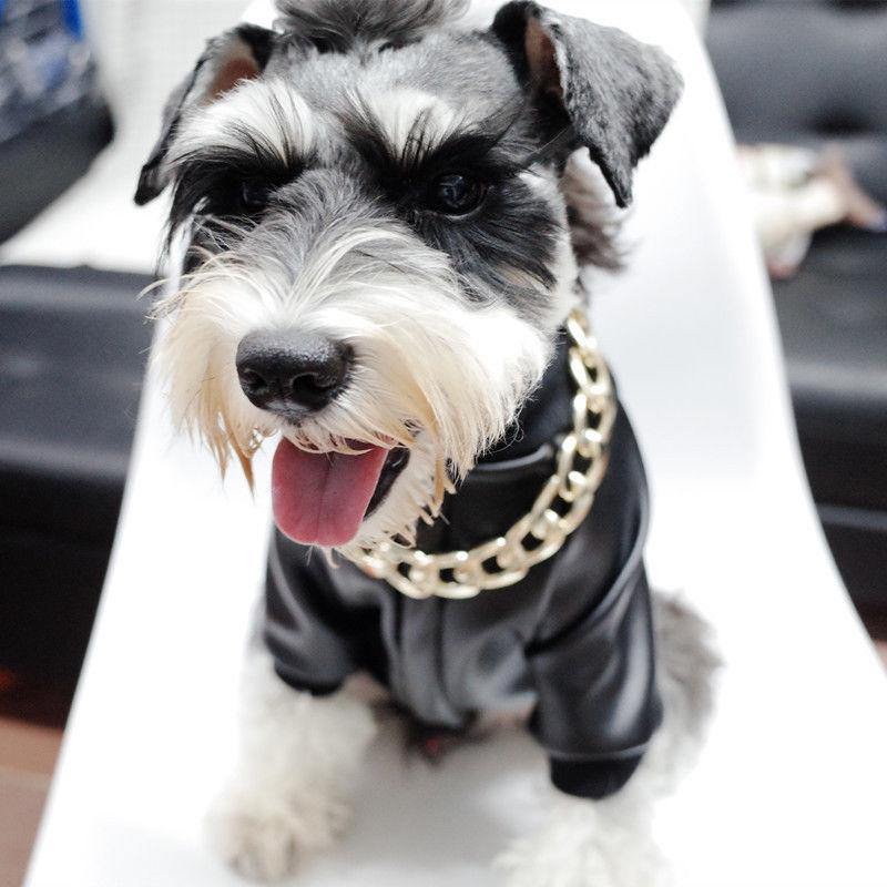 BowLift | Collar de Cadena Gruesa de Oro para Mascotas