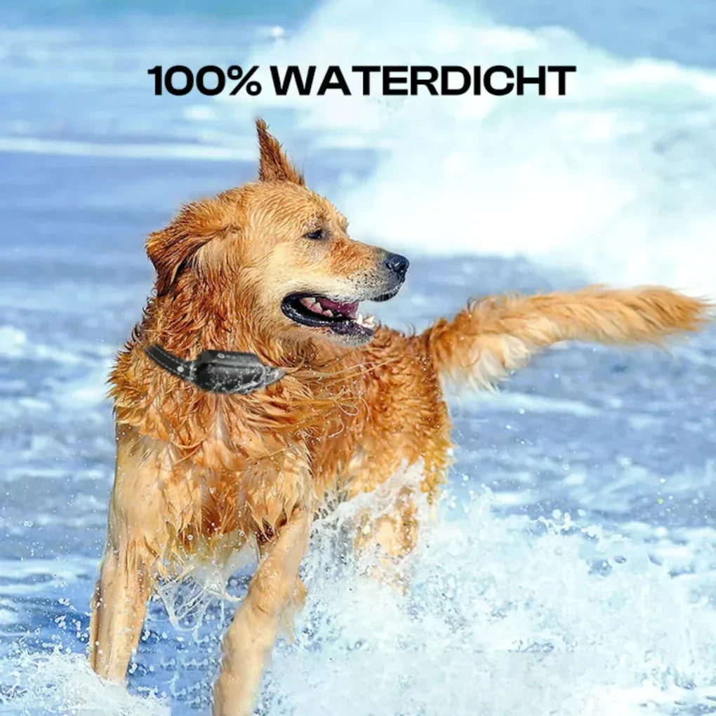 Collar de adiestramiento eléctrico para perros con control remoto