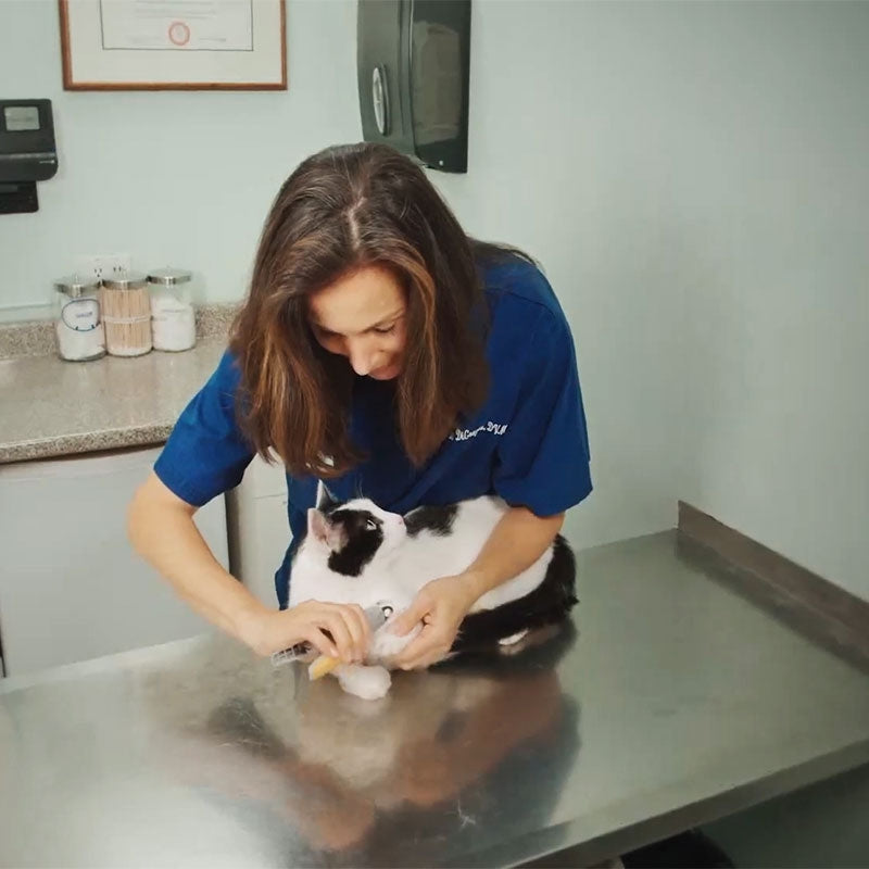 PawGuard - Cortauñas con Sensor de Precisión para un Cuidado Seguro de Mascotas