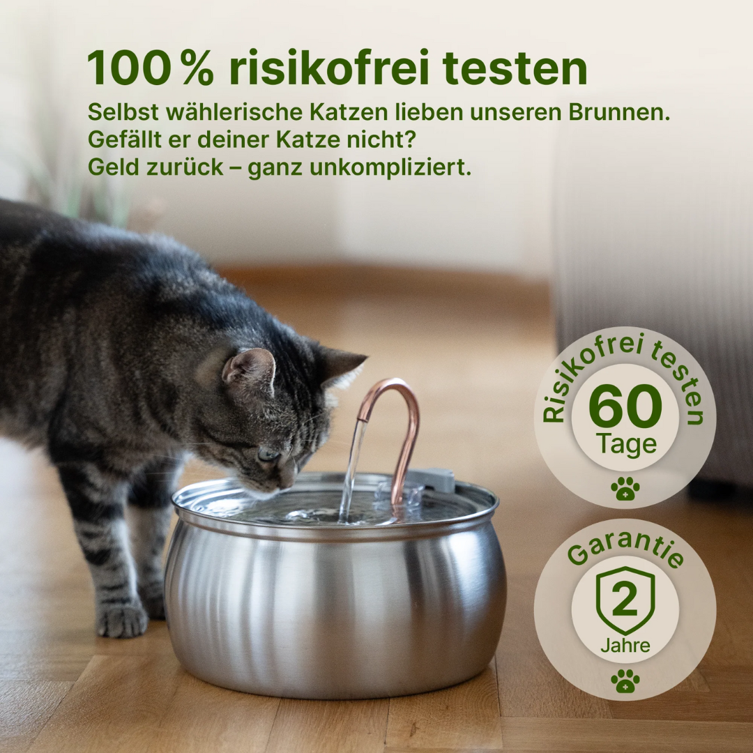 Fuente para gatos de acero inoxidable