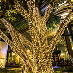Luces de Cadena Solares para Exteriores - LED Blanco Cálido Resistente a la Intemperie para Decoración Exterior