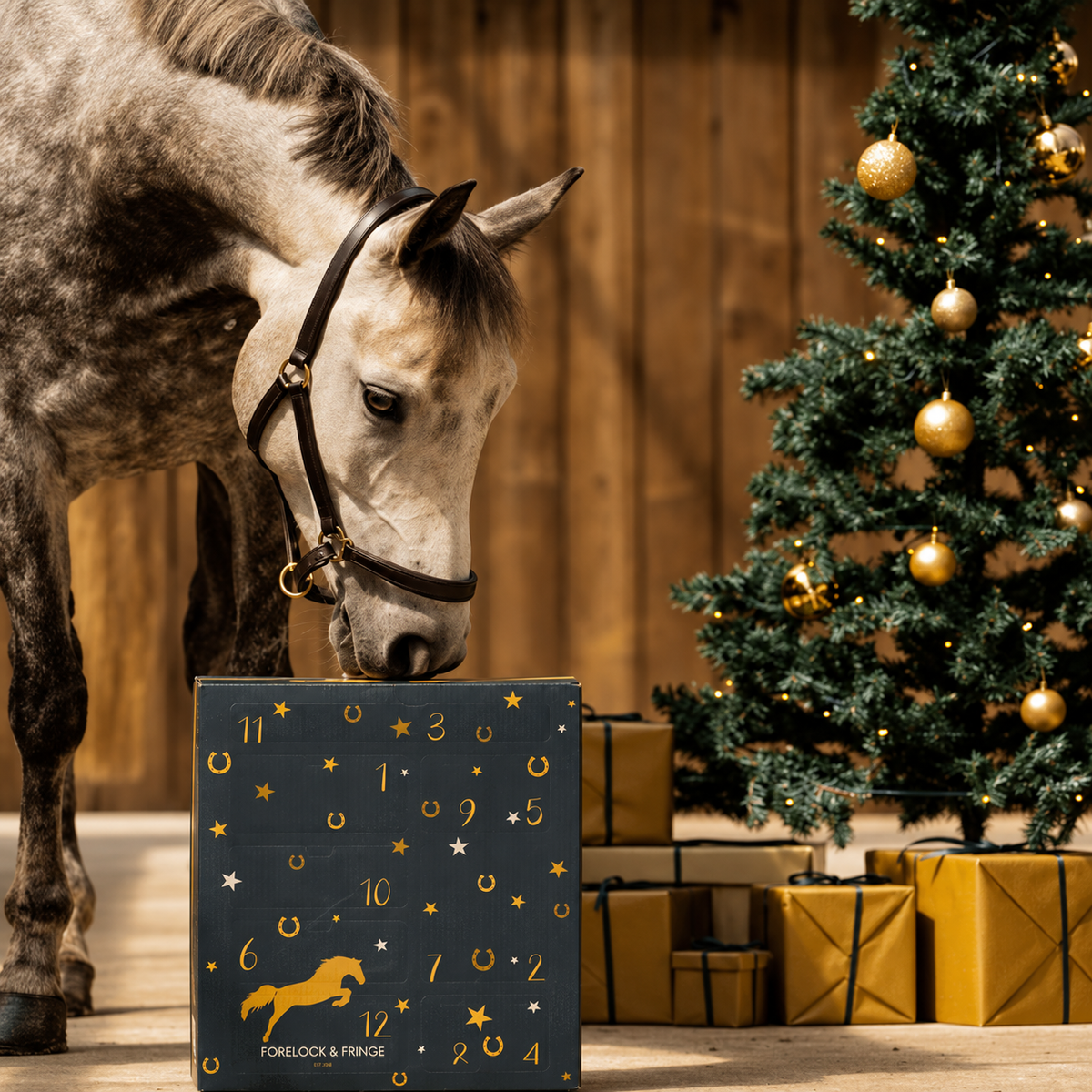 Calendario de Adviento para Caballos 2026