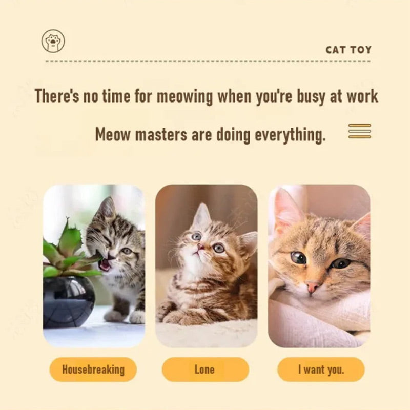CatFury – Desata la salvaje diversión