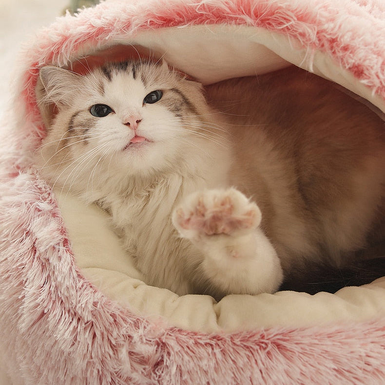 PawNest – Cama para mascotas en forma de donut con bordes elevados para aliviar las articulaciones y proporcionar un acogedor soporte para descansar
