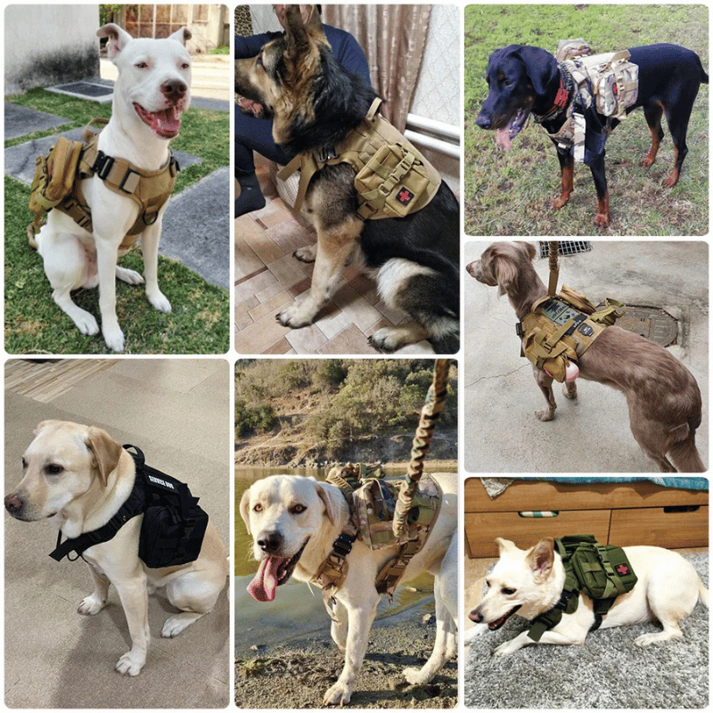 Arnés de entrenamiento para perros grandes - Máxima control
