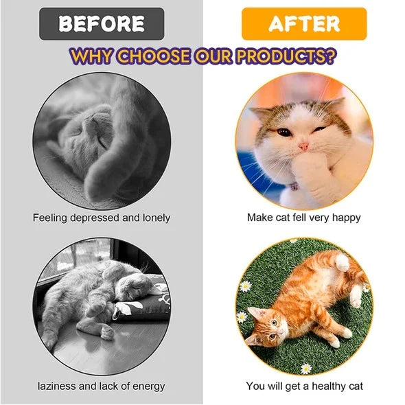 FlexiCat - ¡Reduce el estrés y mantén a tus gatos en forma | 50% DESCUENTO!